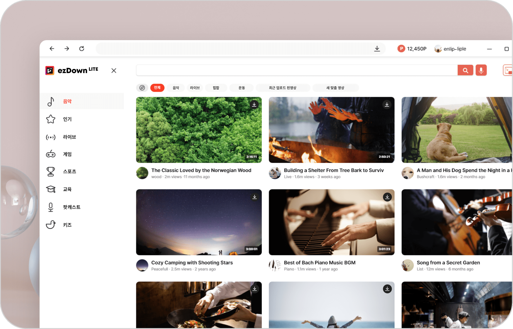 맞춤 추천 영상